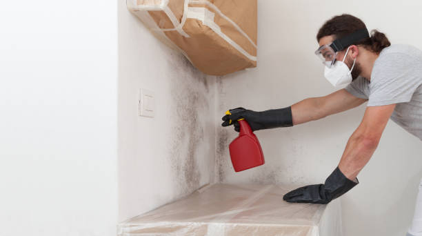 Professional Bathroom Mold Removal technician working in Reading, PA