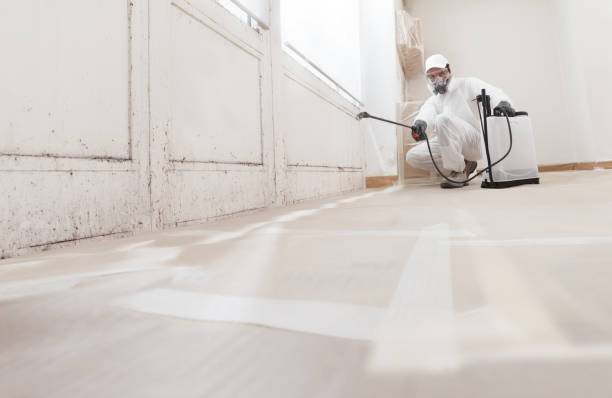 24/7 Emergency Bathroom Mold Removal experts in Reading, PA